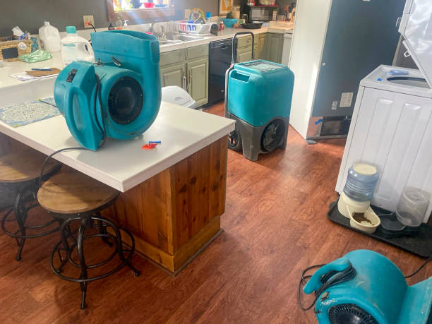 Best 24/7 water damage repair  in Johnstown, PA