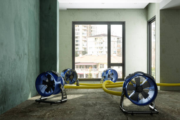 Best 24/7 water damage repair  in Johnstown, PA